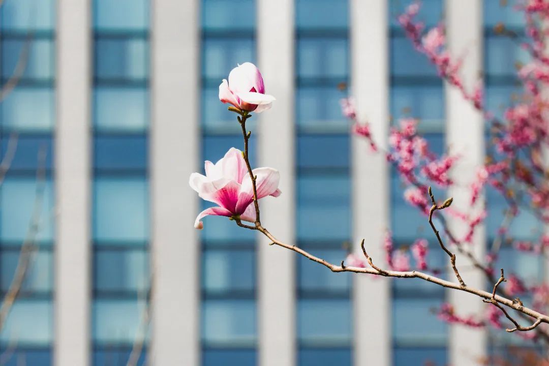 1712908108824473qWZX.jpg 2.jpg