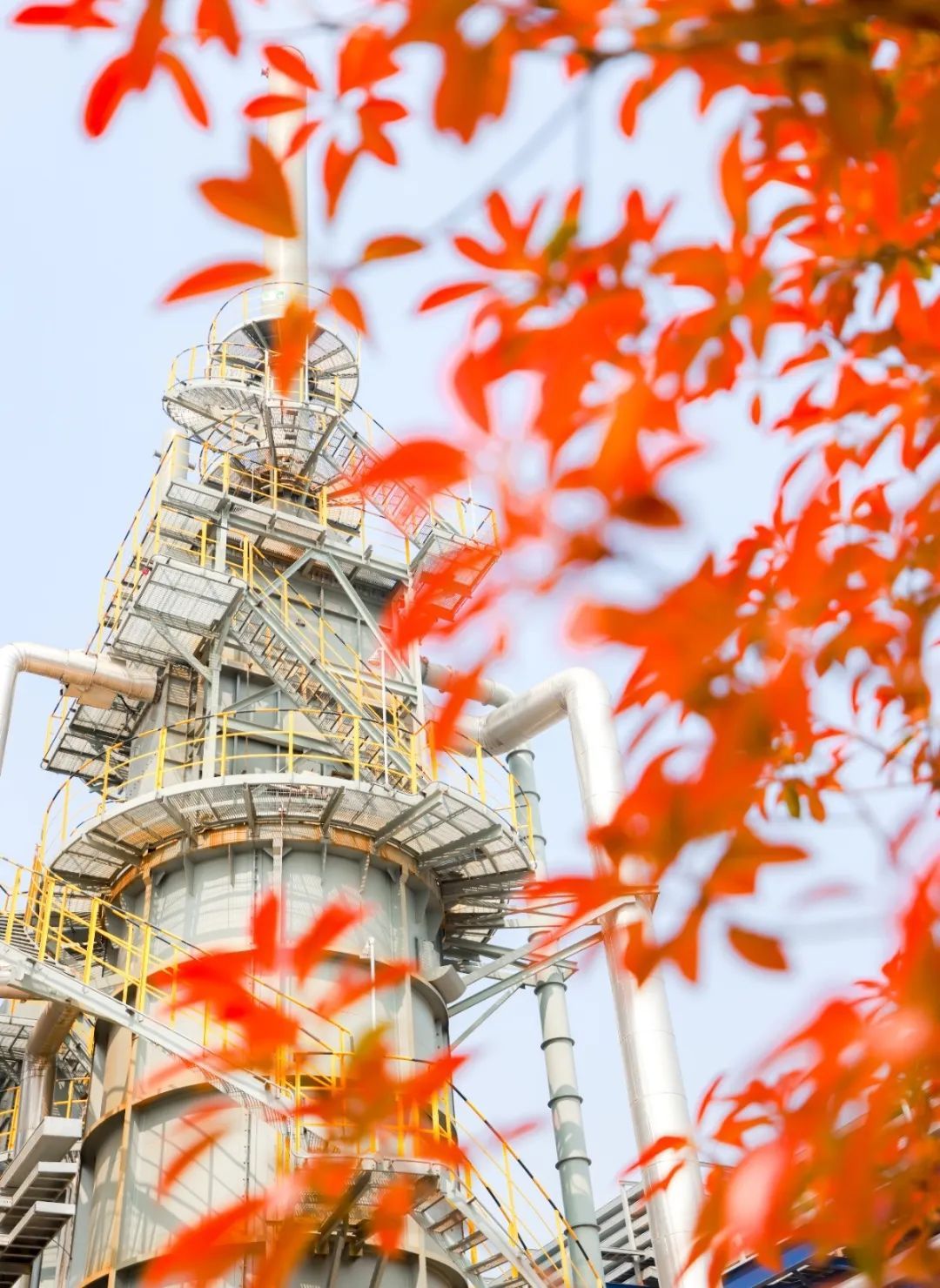 17129081985036001hki.jpg 6.jpg