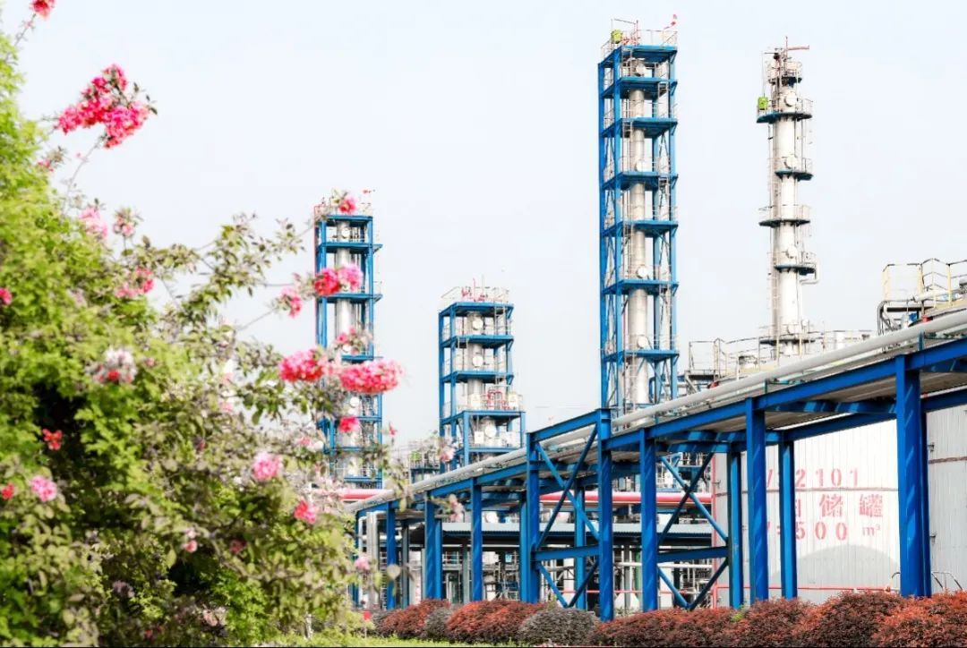 17129083135093528FXN.jpg 7.jpg