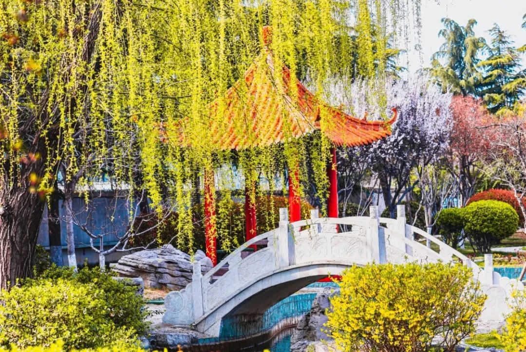 1712908323641121BLnd.jpg 8.jpg