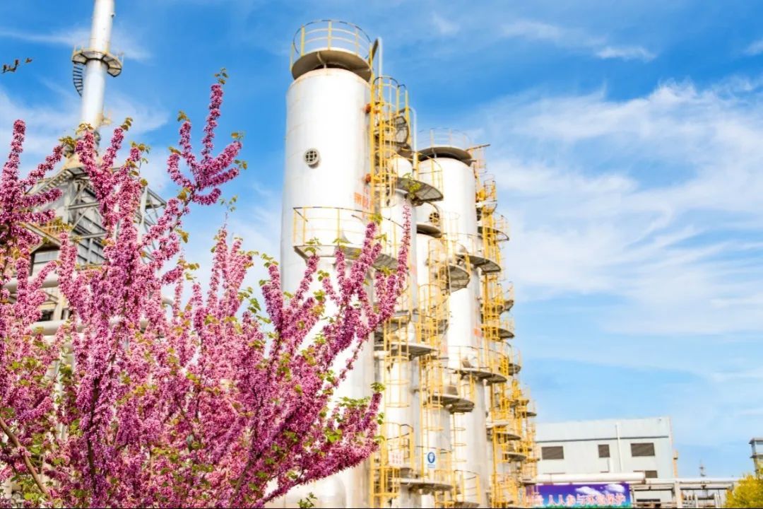 17129083645821759ZdC.jpg 10.jpg