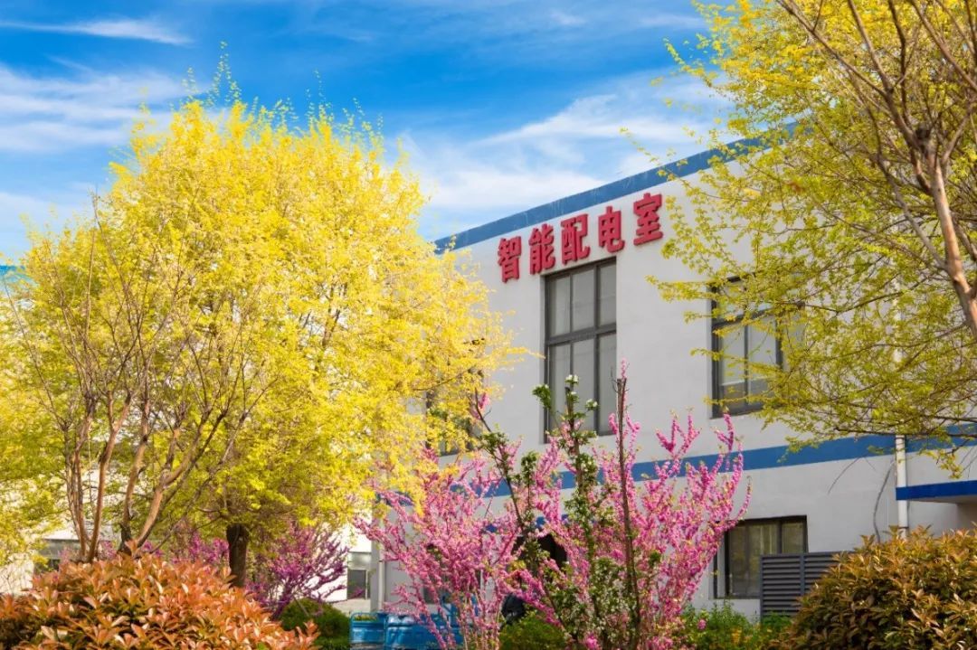 1712908372881130vrYi.jpg 11.jpg