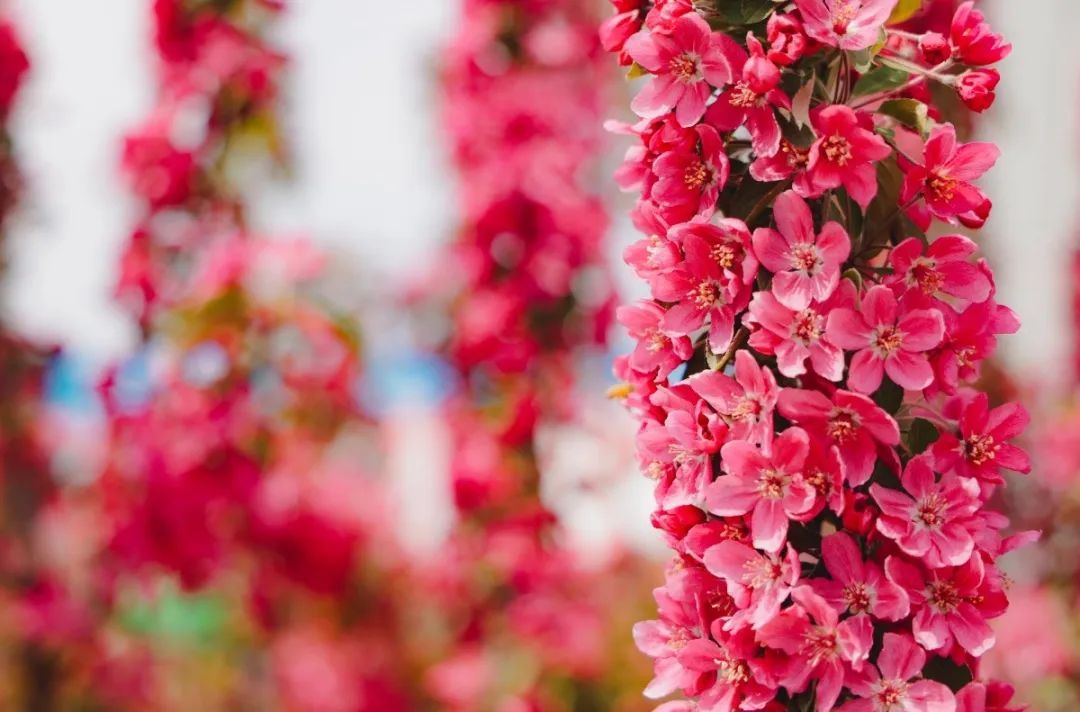 1712908424363487WBfn.jpg 14.jpg