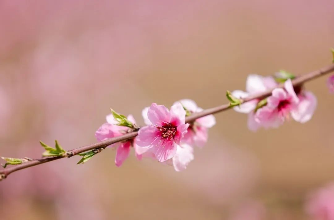 1712908434491820jykA.jpg 15.jpg