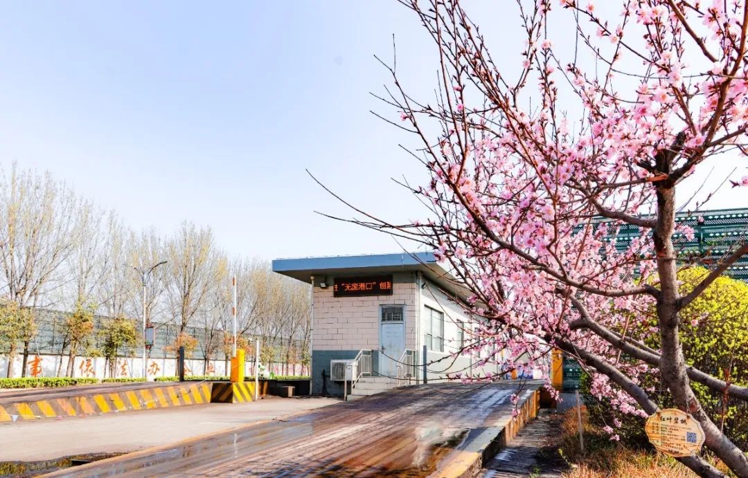 17129084731049046GkT.jpg 17.jpg