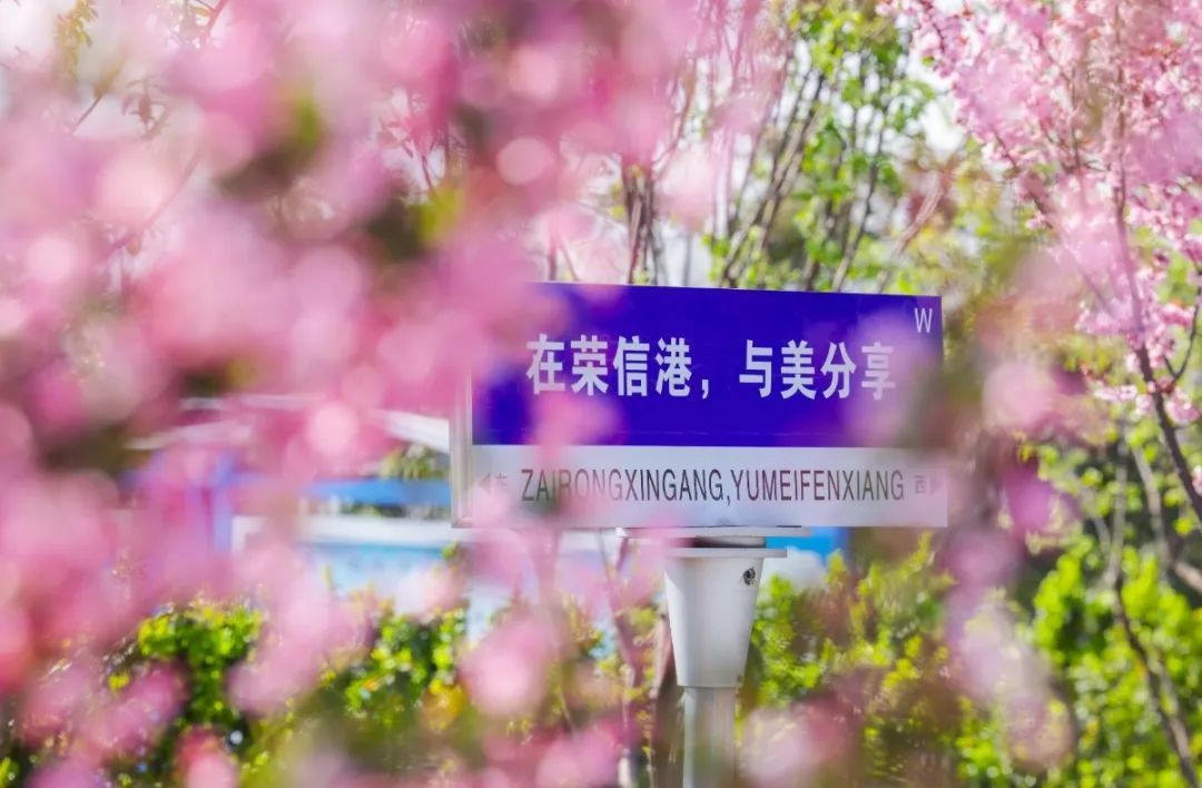 1712908497153023GRil.jpg 19.jpg