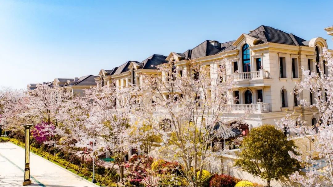 1712908553647537MZIU.jpg 22.jpg