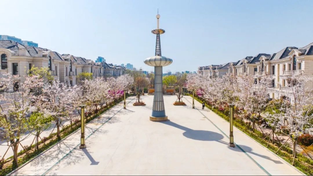 1712908576150725qUNS.jpg 24.jpg