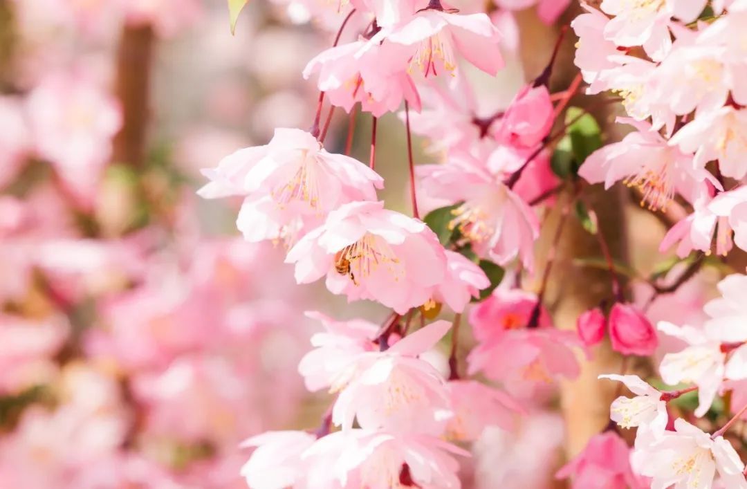 1712908597826744zq2Q.jpg 25.jpg