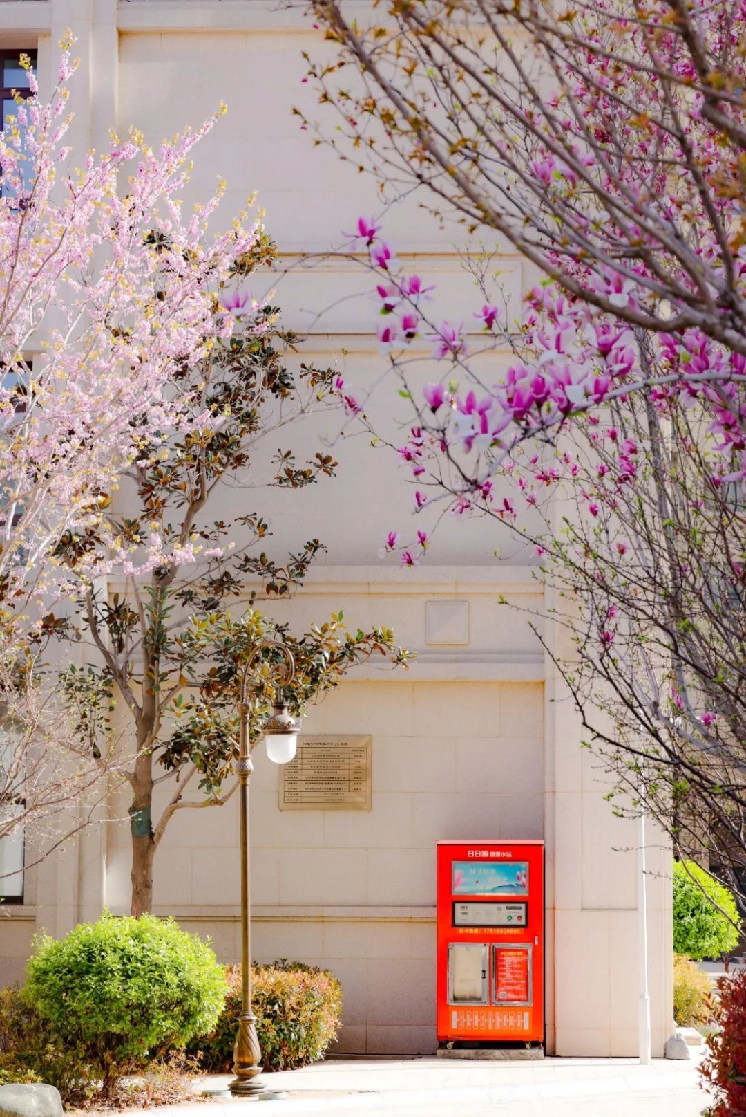 17129086042159469r4e.jpg 27.jpg