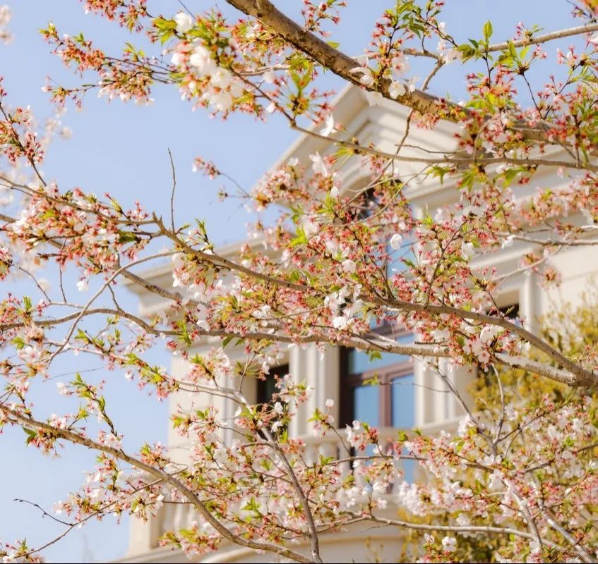 17129086122010853E9u.jpg 17129086122010853E9u.jpg