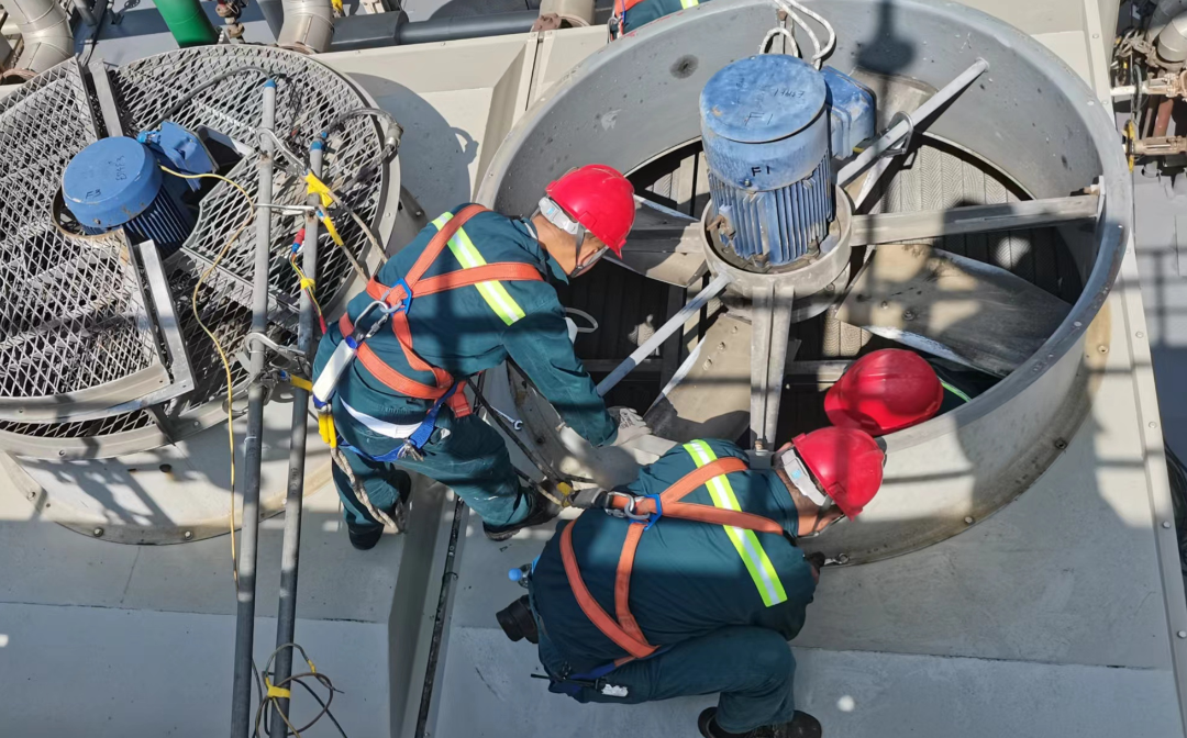 1719972999783545yzcf.png 6.png