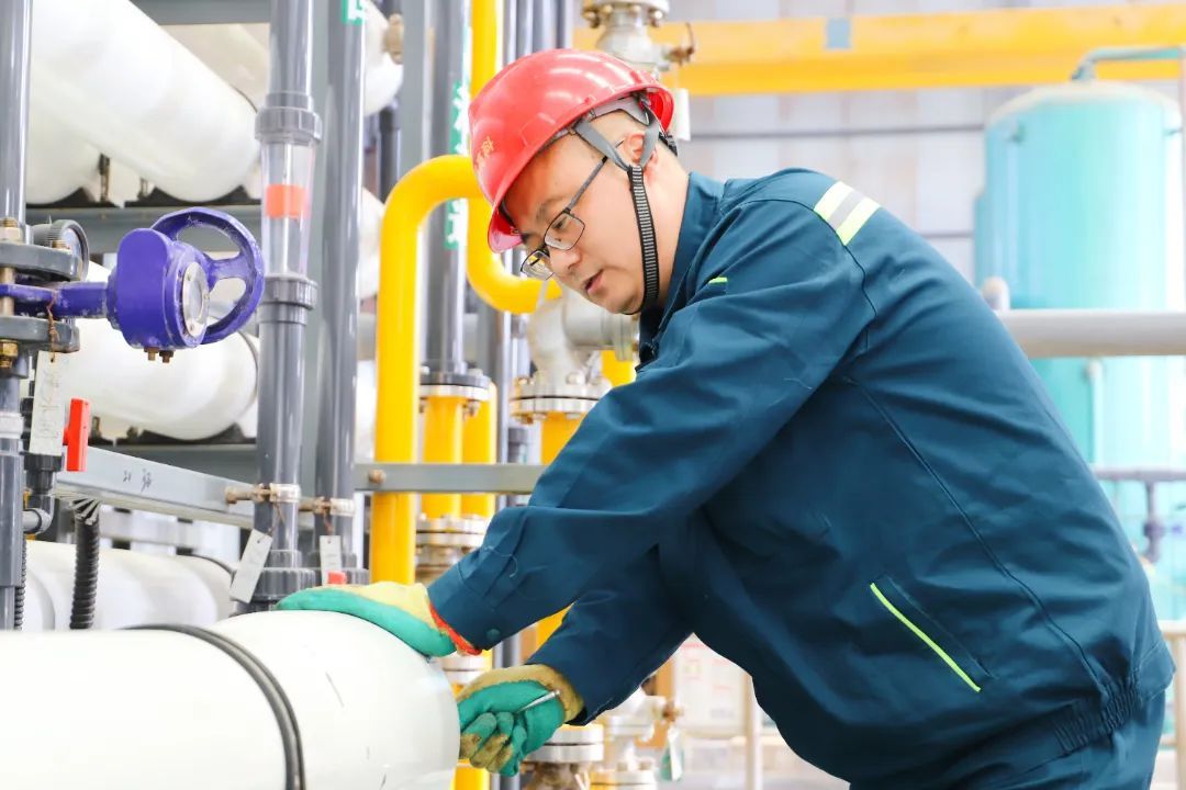 1737334477851882TY9z.jpg 640 (3).jpg