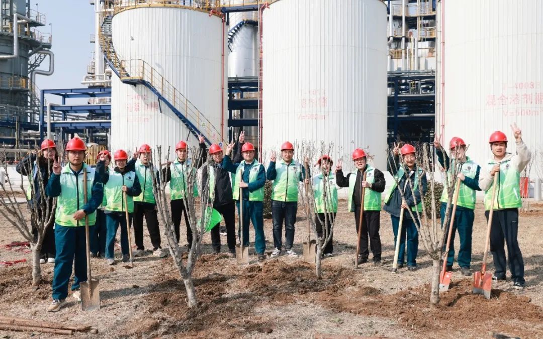 1740103688685116poPX.jpg 7.jpg