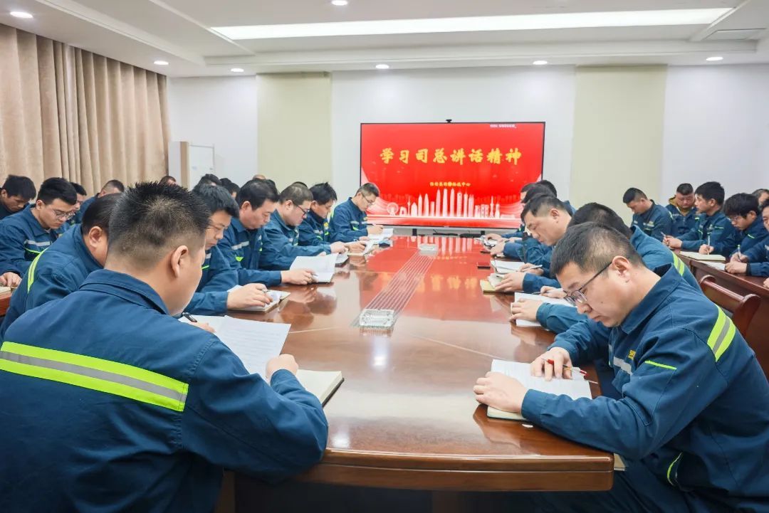 1741673462206491ToEM.jpg 2.jpg