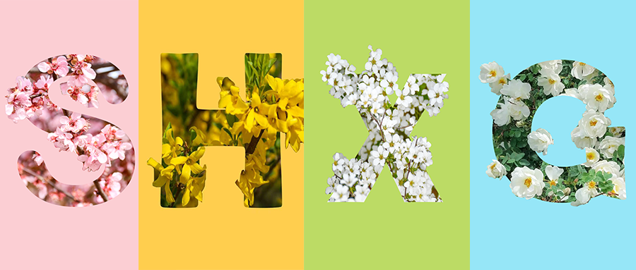 1744095219235230AY7U.png 封面.png