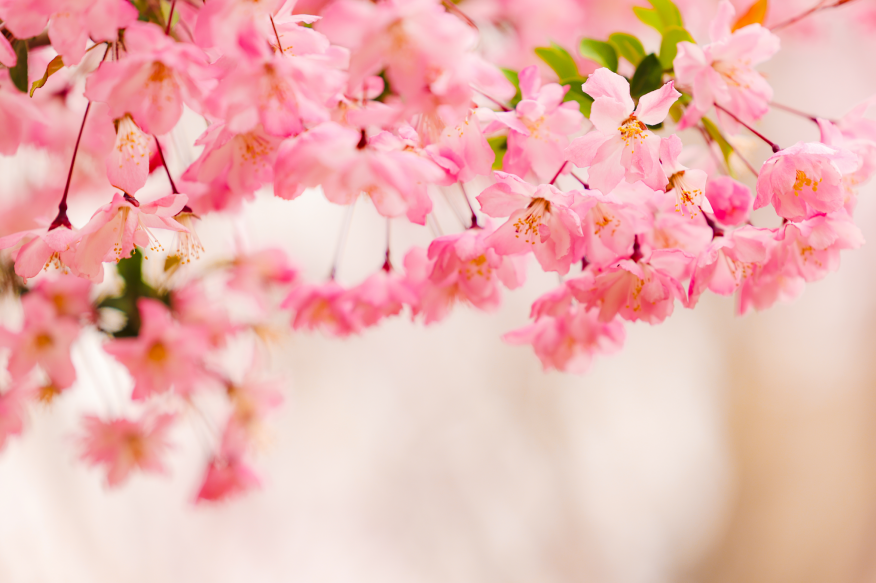 17440954501511698G8x.png 企业微信截图_20250408145613.png