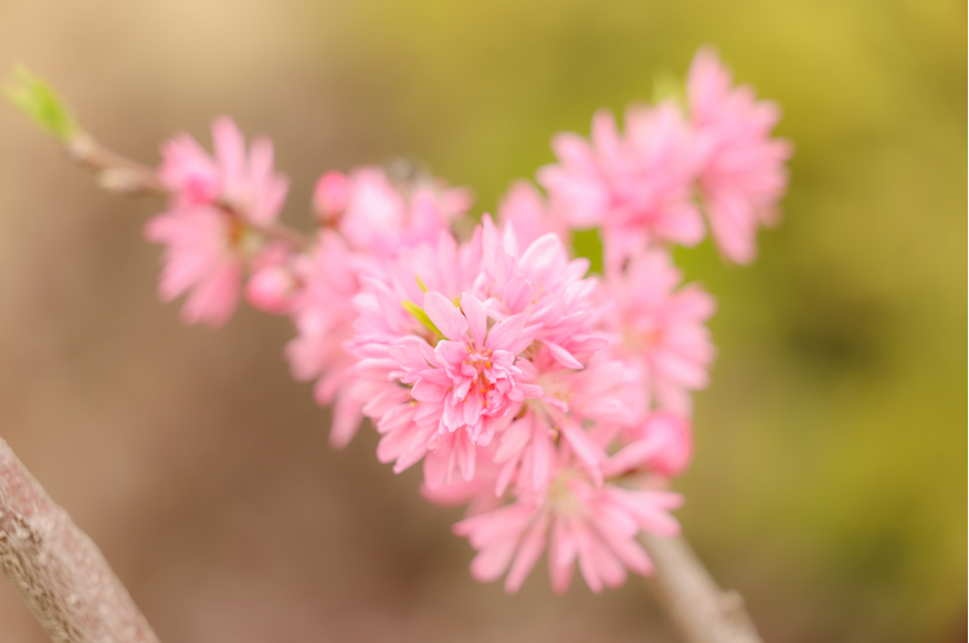 1744095458953424LJi4.png 企业微信截图_20250408145633.png