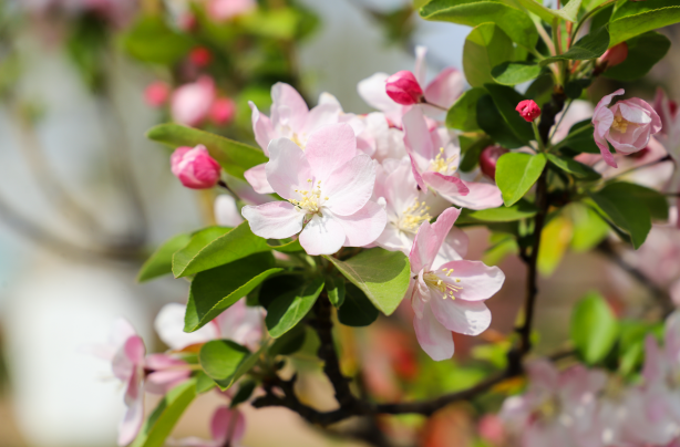 1744095888828962cOvt.png 高科企业微信截图_20250408150324.png