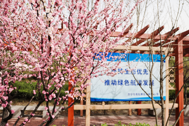 17440960468488931qRy.png 码头企业微信截图_20250408150644.png