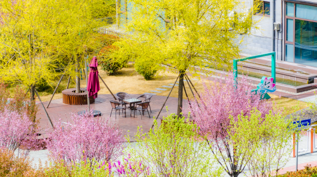 1744096052823030oK9t.png 码头企业微信截图_20250408150659.png