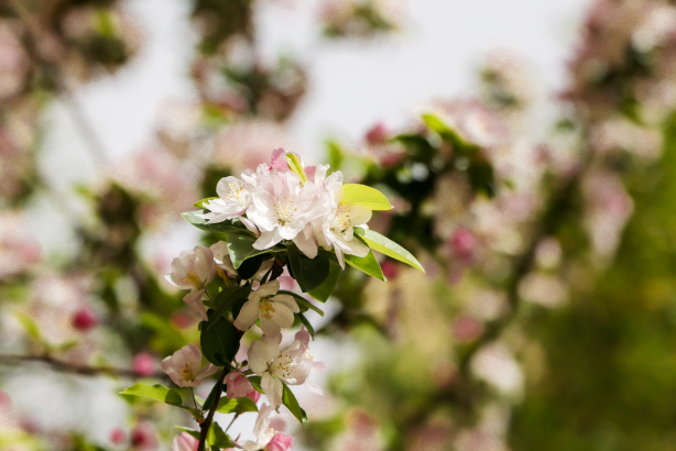 1744096197220000WxcD.png 企业微信截图_20250408150859.png